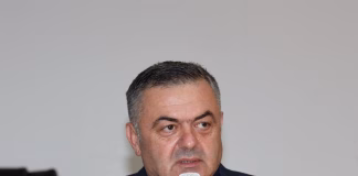 დავით შერეაზადიშვილი: ჩვენს აზერბაიჯანელ თანამოქალაქეებს მთელი გულით ვულოცავ ნოვრუზ ბაირამს