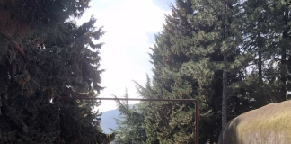 კომუნალურმა სამსახურმა თანამშრომლებს ახალი ეკიპირება გადასცა