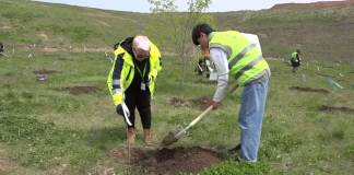 „მე დავრგე ხე“ კამპანიის მეორე ეტაპი გაიმართა