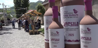 დაცული ადგილწარმოშობის დასახელების ღვინის ფესტივალი ბოლნისში