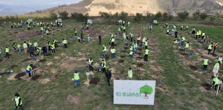 ,,მე დავრგე ხე’’რიგით მესამე აქცია გაიმართა