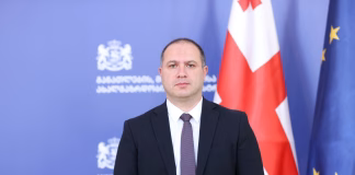 Gürcüstanın təhsil, elm və gənclər naziri bəyan edib ki, Tbilisi Dövlət Universiteti və Gürcüstan Texniki Universiteti birləşdiriləcək