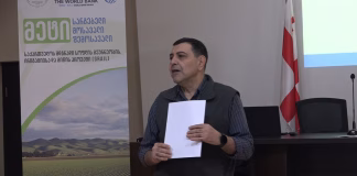 Bolnisidə genişmiqyaslı investisiya qoyulacaq