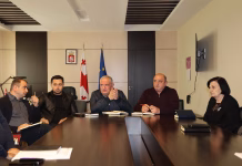 ბოლნისის მუნიციპალიტეტის მერმა, სტრუქტურული ერთეულების ხელმძღვანელებთან სამუშაო შეხვედრა გამართა