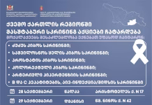 ქვემო ქართლის მხარეში მასშტაბური სკრინინგ აქციები ჩატარდება