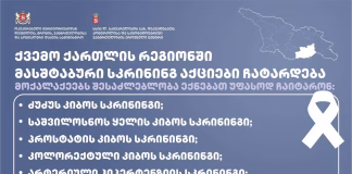 ქვემო ქართლის მხარეში მასშტაბური სკრინინგ აქციები ჩატარდება
